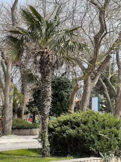 Паметна плоча на Георги Минчев