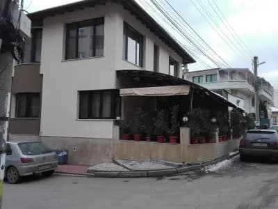 Маслината