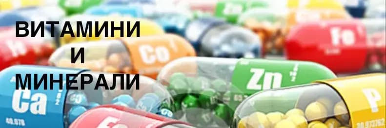 БулВит Хранителни Добавки