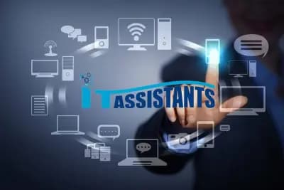 It Assistants LTD