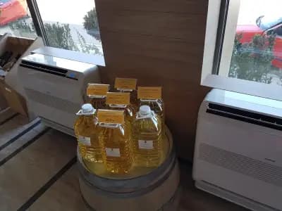 Черноморско злато