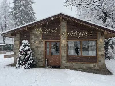 Хайдути