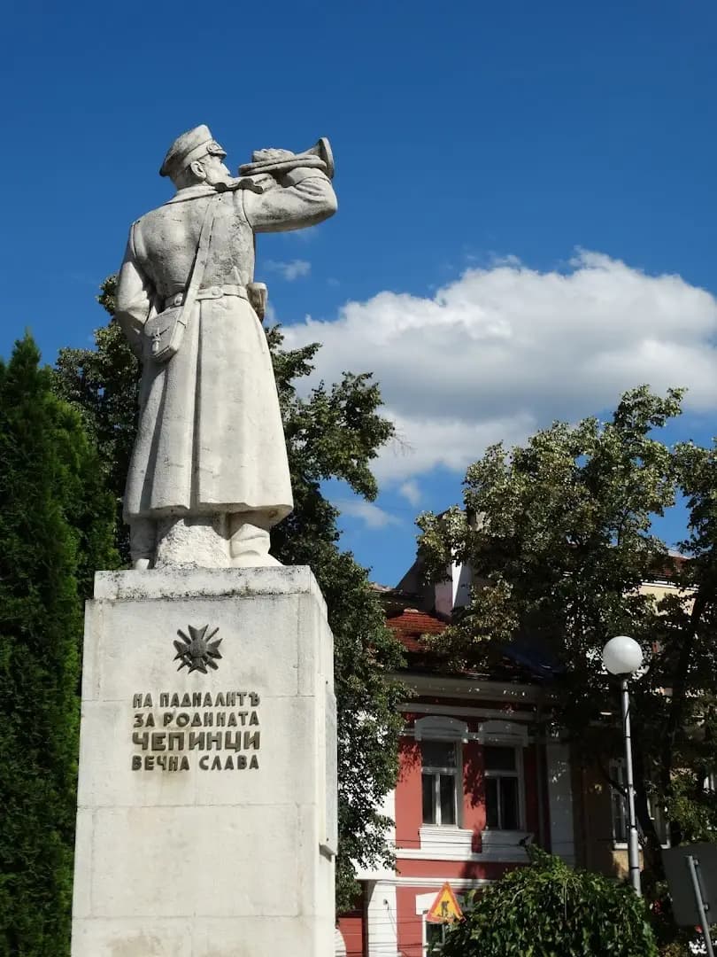 ПАМЕТНИК НА ПАДНАЛИТЕ ЗА РОДИНАТА ЧЕПИНЦИ
