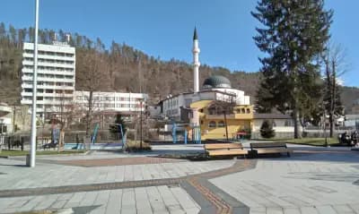 Община Мадан