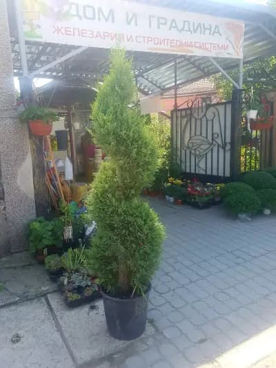 Дом и градина
