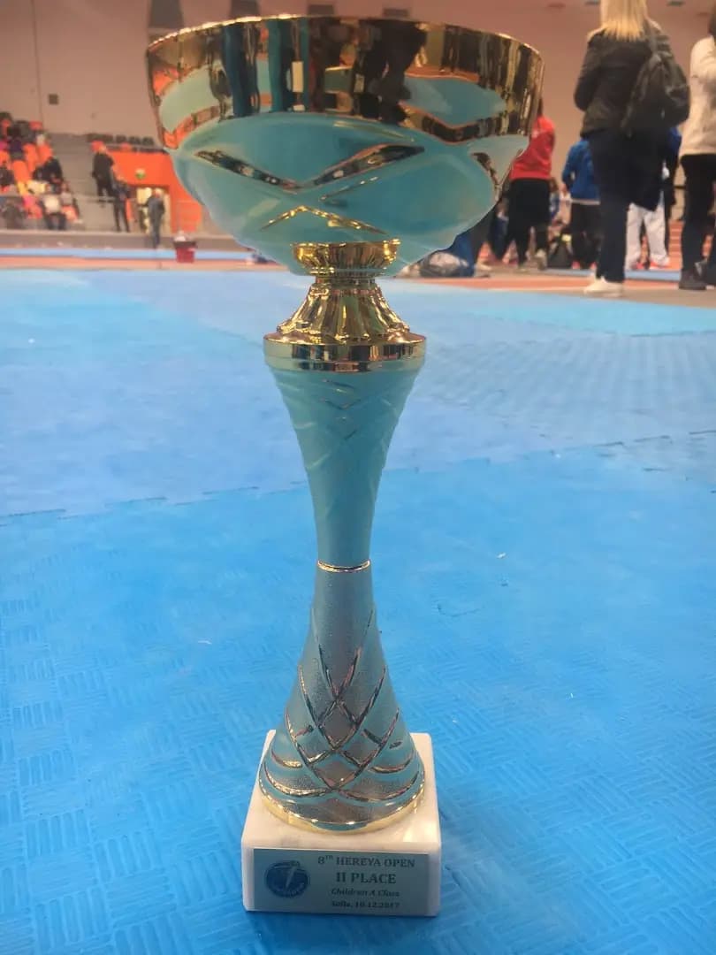 TAEKWONDO TEAM TURBO