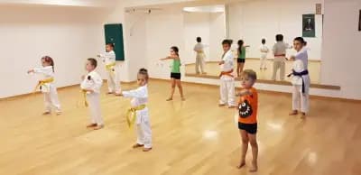 Широ Доджо Ронин 11 / Shiro Dojo Ronin 11