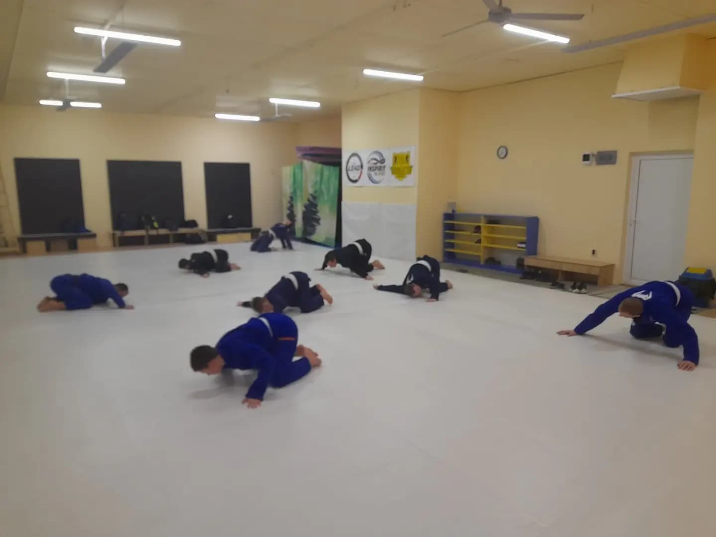 Inspirit Jiu Jitsu