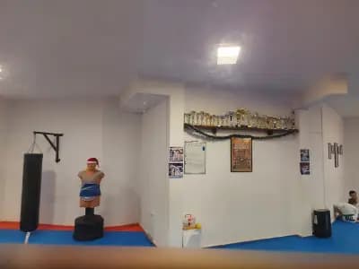 Клуб по таекуондо Феникс