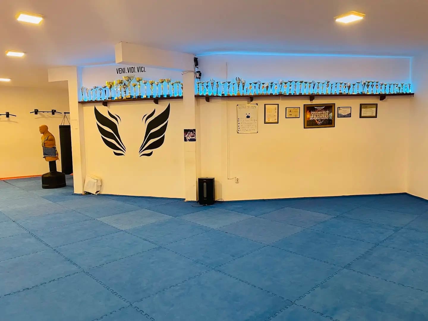 Клуб по таекуондо Феникс