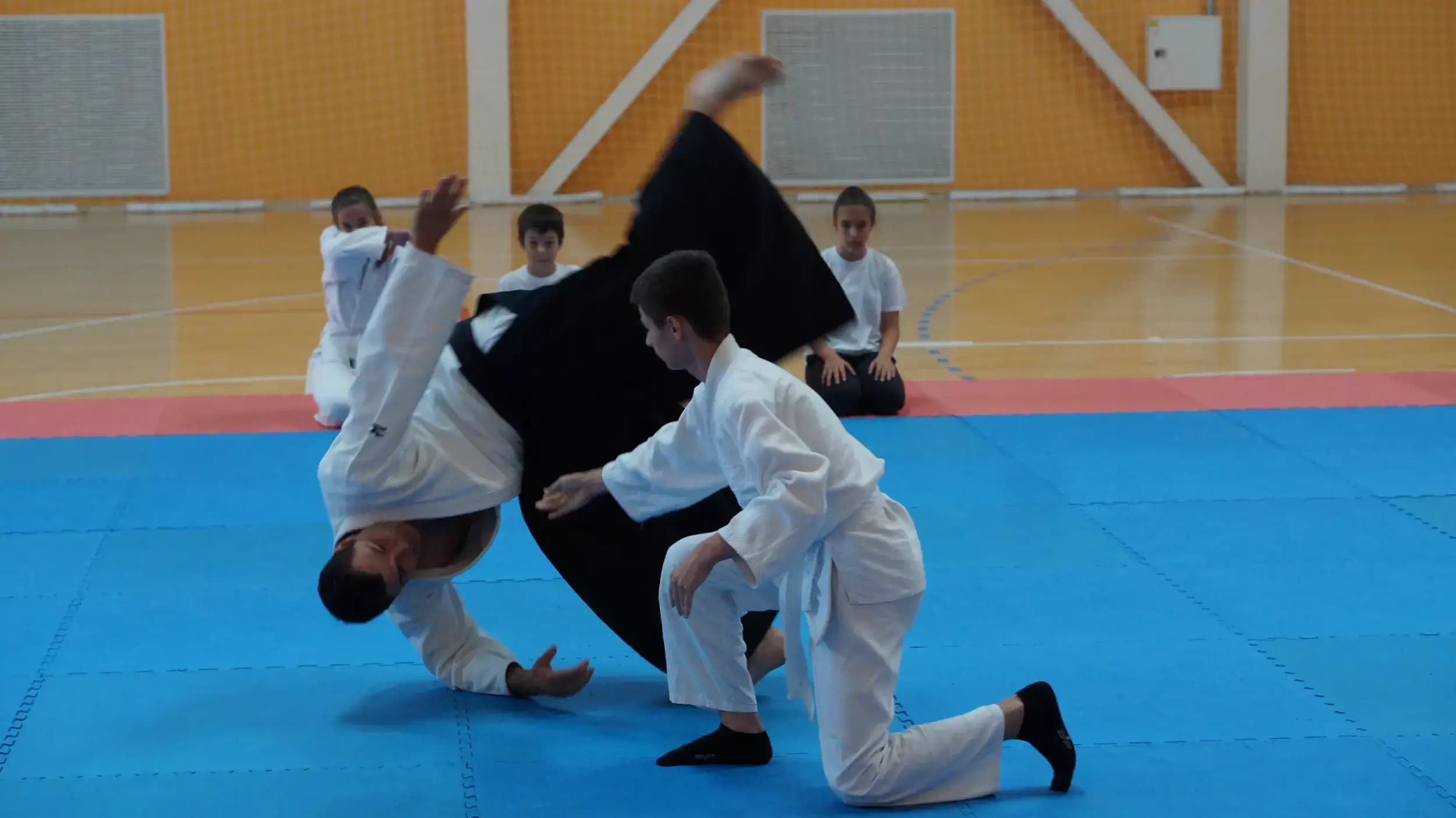 Айкидо клуб Запад | Йококан дожо| Yokokan Dojo| | Aikido club West| 陽光館道場