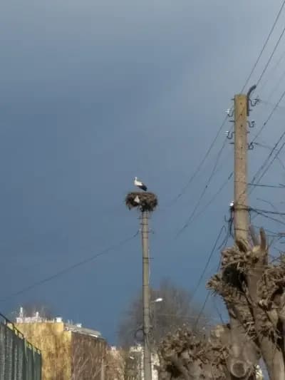 Спортна Зала