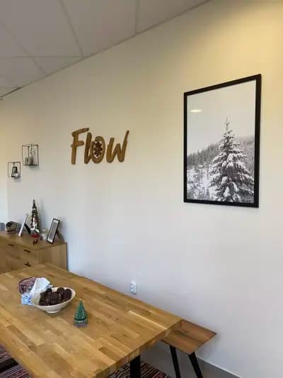Flow Ski Academy