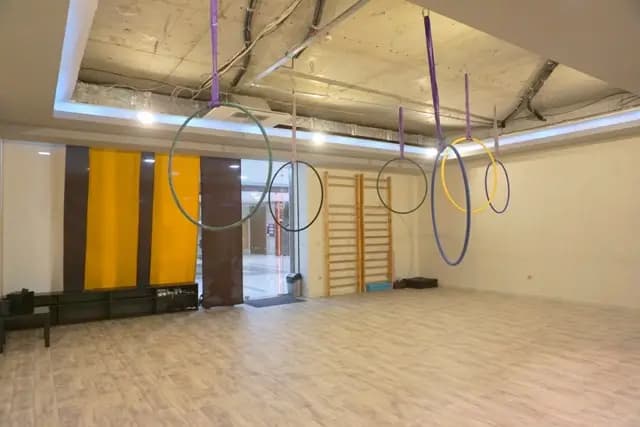 Pole Dance Bulgaria Mladost Studio/Пол денс България/