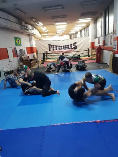 Бразилско жиу-житцу клуб Pitbulls MatSide, Grappling, Brazilian Jiu Jitsu
