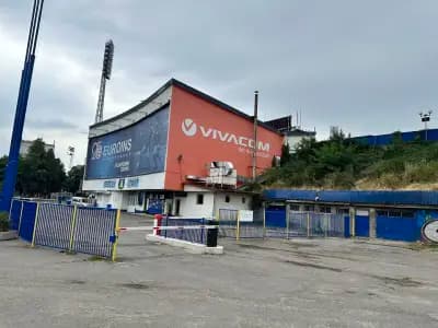 Професионален футболен клуб Левски