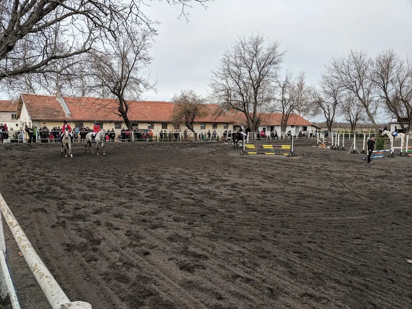Horse riding club "Equestre"