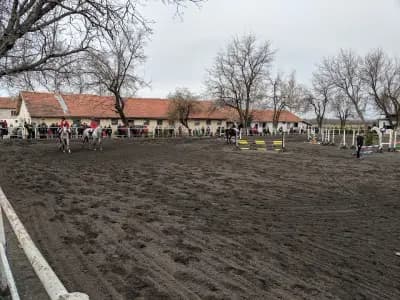 Horse riding club "Equestre"