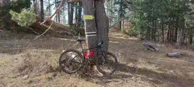 Bulbiking / Булбайкинг - Вело терапия