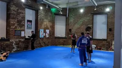 Raiders jiu-jitsu / Twisted jiu-jitsu Plovdiv