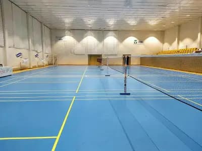 Бадминтон Клуб Гълъбово