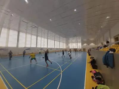Бадминтон Клуб Гълъбово