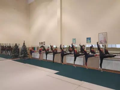 Спортен клуб по художествена гимнастика Диляна Прима SKRG DILYANA PRIMA PAZARDZIK