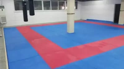 Спортен Клуб по Киокушин Карате "Икигай"