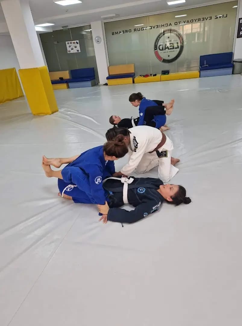 Бразилско джу-джицу Варна (BJJ Varna)