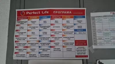 Perfect life