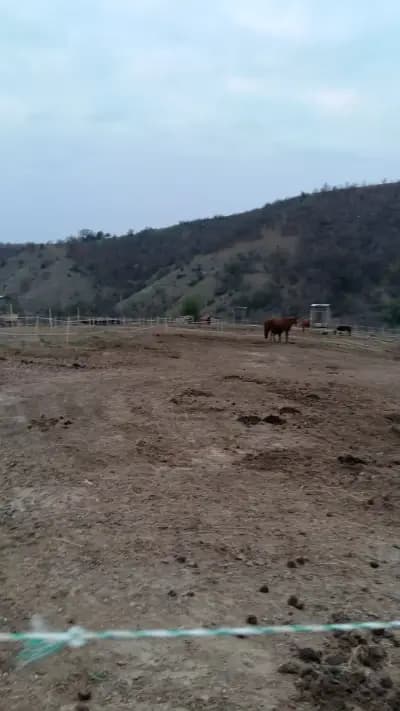 Конна база „Хек“
