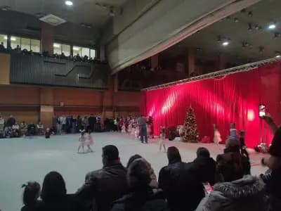 Клуб по художествена гимнастика „Левски“