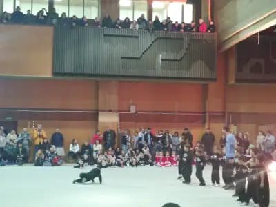 Клуб по художествена гимнастика „Левски“