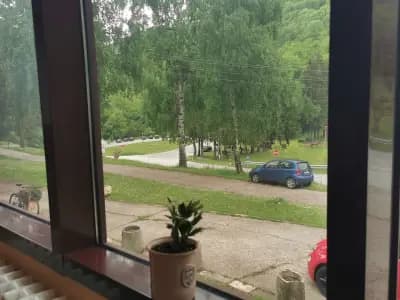 Ездови клуб Враца