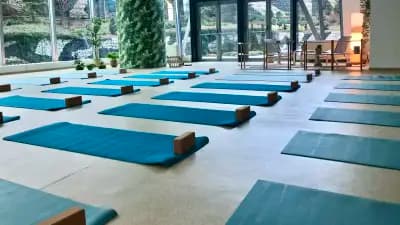 2Health Hub (Ту Хелт Хъб)