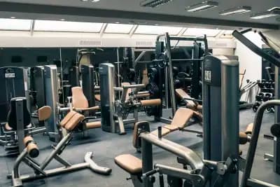 Zeus Fitness - Lozenets