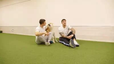 New Level Training (Лерин 53) - персонални и кондиционни тренировки