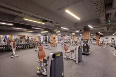 Next Level Fitness Zaimov