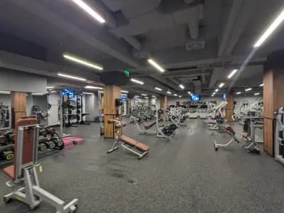 Next Level Fitness Zaimov
