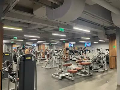 Next Level Fitness Zaimov
