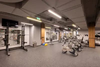 Next Level Fitness Zaimov