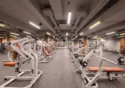 Next Level Fitness Zaimov