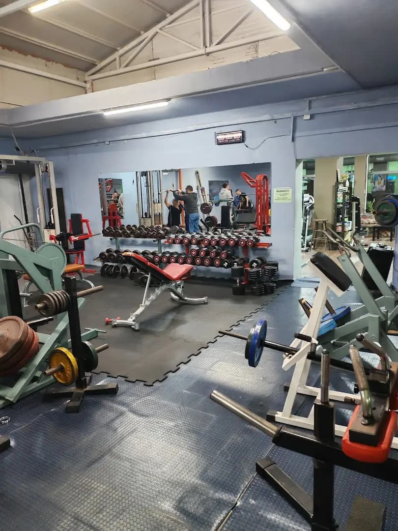The Real Gym