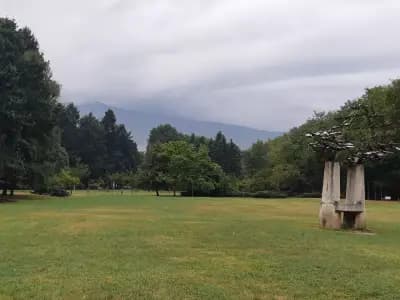Лукойл