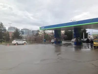 Shell