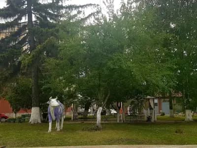 ОМВ Рожен