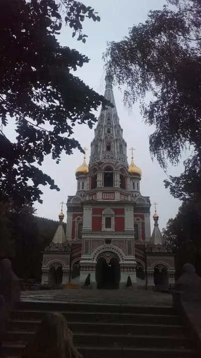 "НЕСИ - ОЙЛ" ООД