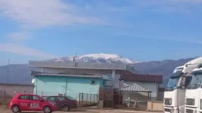 "НЕСИ - ОЙЛ" ООД