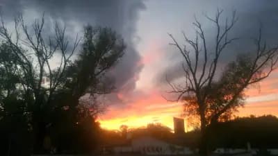 ЕКО