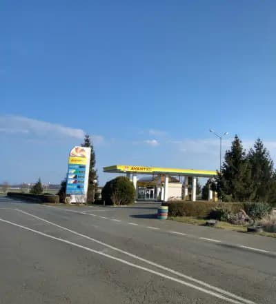 AVANTI RIJ